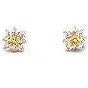 Anastasia Color Earrings