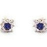 Anastasia Color Earrings