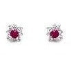 Sterling Silver Anastasia Color Earrings
