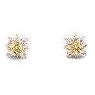 Sterling Silver Anastasia Color Earrings