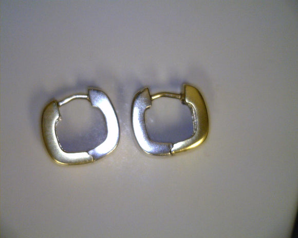 Two-Toned Small Hoops